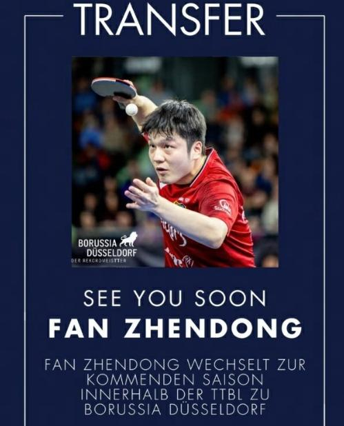 樊振东加盟德甲豪门杜塞尔多夫引欧洲乒坛震动