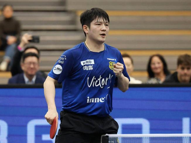 樊振东加盟德甲豪门杜塞尔多夫引欧洲乒坛震动