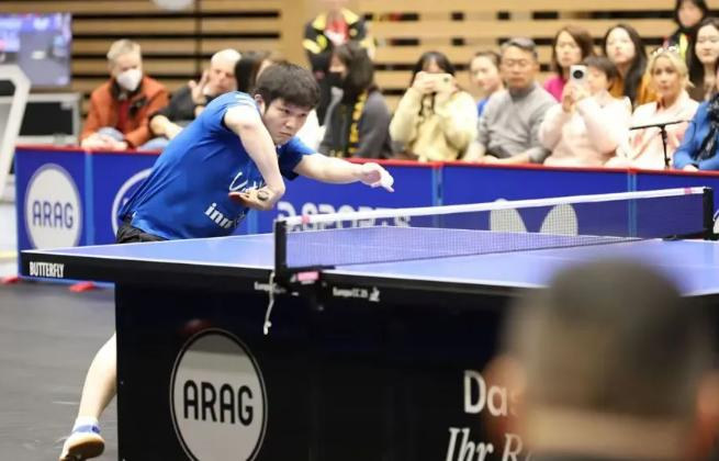 樊振东加盟德甲豪门杜塞尔多夫引欧洲乒坛震动