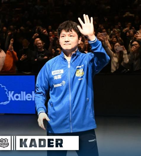 樊振东加盟德甲豪门杜塞尔多夫引欧洲乒坛震动