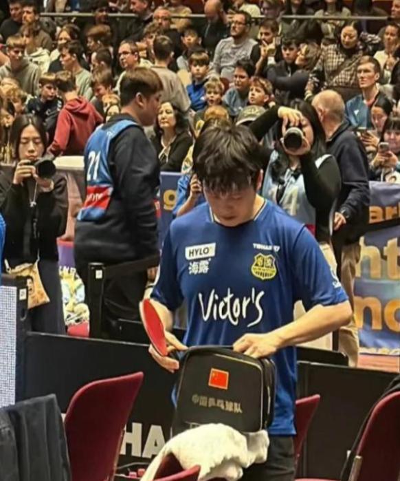 樊振东加盟德甲豪门杜塞尔多夫引欧洲乒坛震动