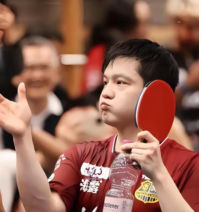 樊振东加盟德甲豪门杜塞尔多夫引欧洲乒坛震动